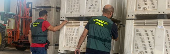 La Guardia Civil desarticula dos grupos criminales responsables de 28 robos en explotaciones agrícolas de la comarca de La Mancha conquense