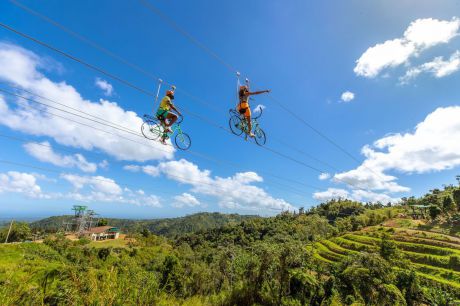 


Toroverde alcanza la fase de tramitacio&#769;n ambiental para su proyecto en Cuenca


