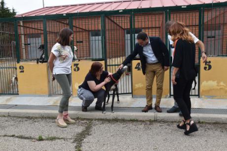 Mejorar la vida de los perros y de las personas con problemas de salud mental es el objetivo de Vivir y la Diputación de Cuenca
