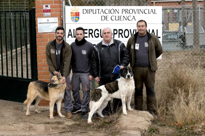 Tres nuevas adopciones en el Albergue Provincial de Animales en la recta final del año 2017