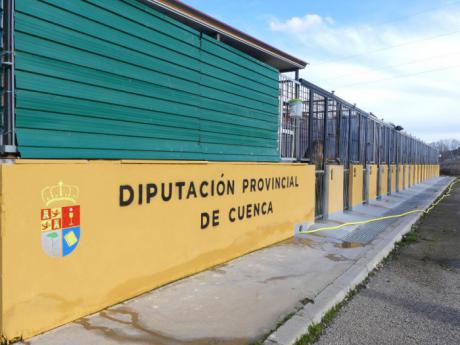 Cuenca en Marcha pide ‘reformas de calado y transparencia’ para mejorar la situación del Albergue Provincial de Animales