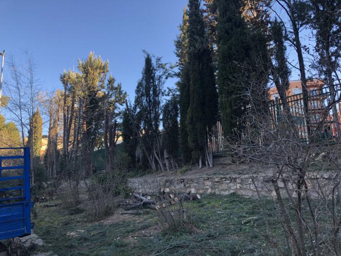 Evitar riesgos de caída de ramas o de los propios árboles en el Parque de Santa Ana, objetivo de la actuación de poda que se está ejecutando