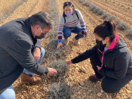 La Junta destaca el potencial de la provincia en la creación de proyectos innovadores dentro del sector agroalimentario