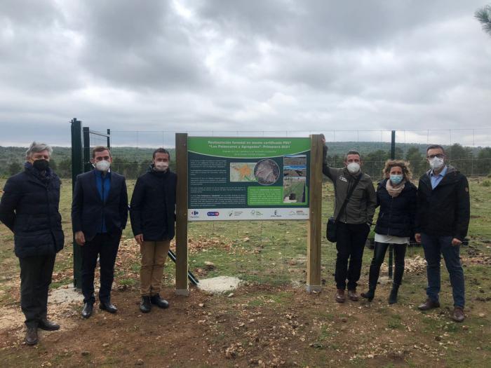 FSC y Carrefour promueven la recuperación ejemplar de un monte incendiado en Cuenca