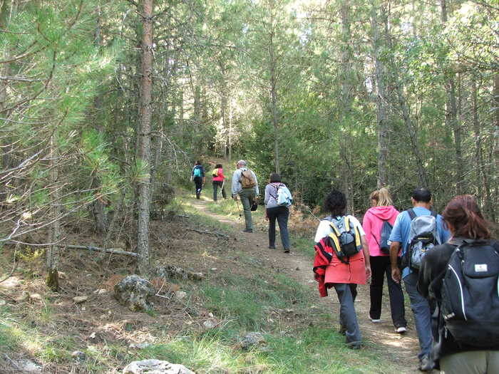 Cerca de 60 participantes disfrutaron de La Serranía en el regreso en otoño del Campus Diputación de Cuenca de Senderismo