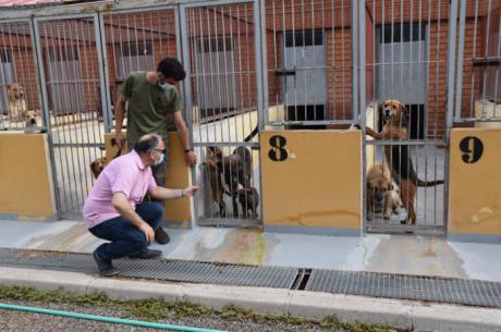 El Albergue Provincial de Animales consigue que en el último año un centenar de perros encuentren una familia