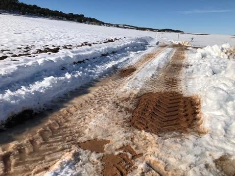 Prieto exige a Diputación y Junta un Plan de Reparación de Caminos ante su deterioro por la falta de mantenimiento y la nieve
