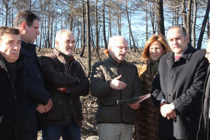 Gregorio visita las obras de restauración en la zona del incendio forestal de Campillo de Altobuey