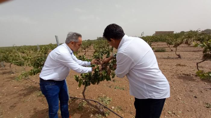 Rodrigo Fernández visita San Clemente y Las Mesas para interesarse por el estado del campo conquense tras el paso de la DANA