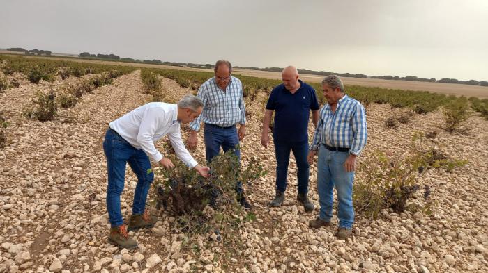 Rodrigo Fernández visita San Clemente y Las Mesas para interesarse por el estado del campo conquense tras el paso de la DANA