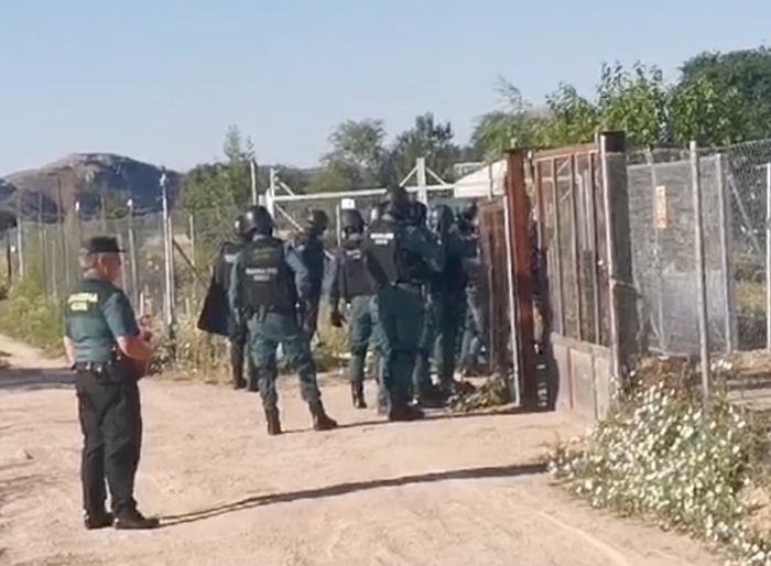 Desarticulada una red criminal que causaba estragos en cultivos de La Mancha conquense