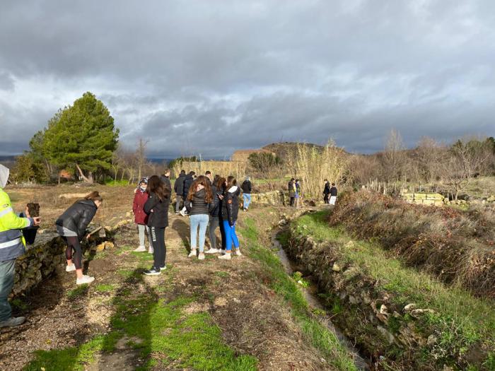 El Ayuntamiento de Carboneras de Guadazaón refuerza su apuesta por el medioambiente plantando olmos ibéricos libres de grafiosis