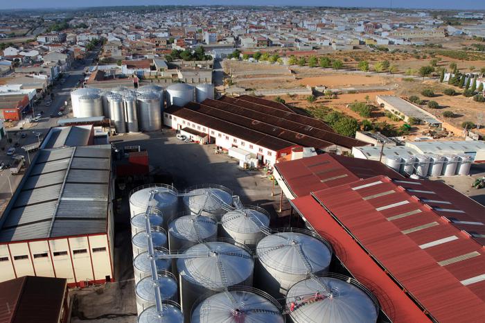 La Cooperativa San Isidro de Quintanar del Rey se opone a la macrogranja porcina y se suma a otras bodegas del país en su preocupación por la ganadería industrial