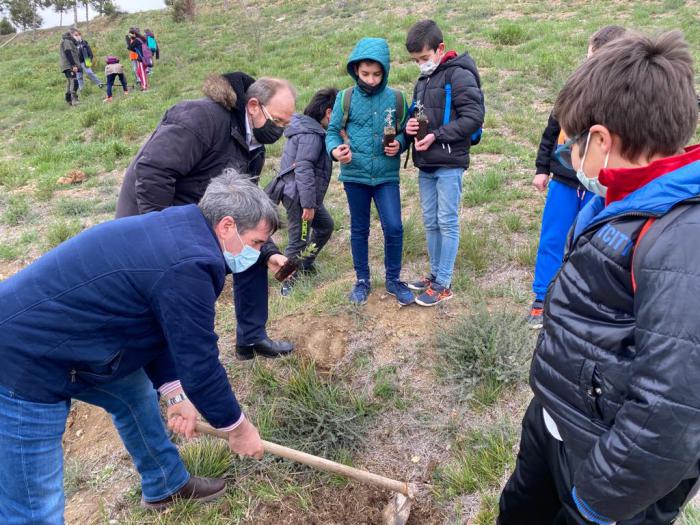 Se acomete la plantación de 250 especies arbóreas entre pinos, encinas y plantas aromáticas en el MUPA junto a colectivos educativos y sociales de Cuenca