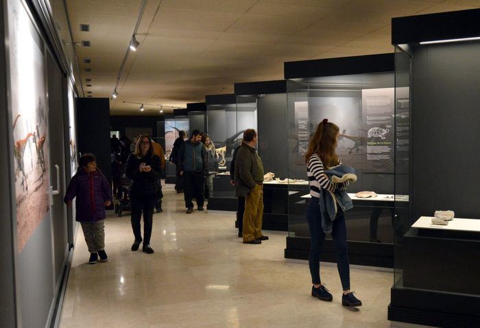 Cerca de 4.400 personas han visitado el Museo de Paleontología durante los tres días de puertas abiertas