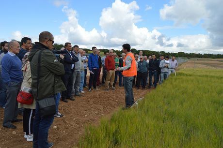 La Junta destaca el “importante servicio público” que prestan los centros de investigación como Albaladejito a los agricultores