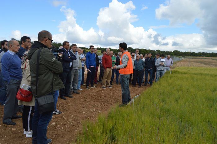 La Junta destaca el “importante servicio público” que prestan los centros de investigación como Albaladejito a los agricultores