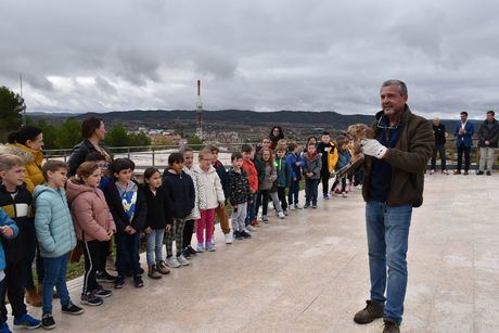 El Centro de Recuperación de la Fauna Silvestre de Cuenca ha devuelto 141 animales al medio natural en 2023, el 51 por ciento de los que ha atendido