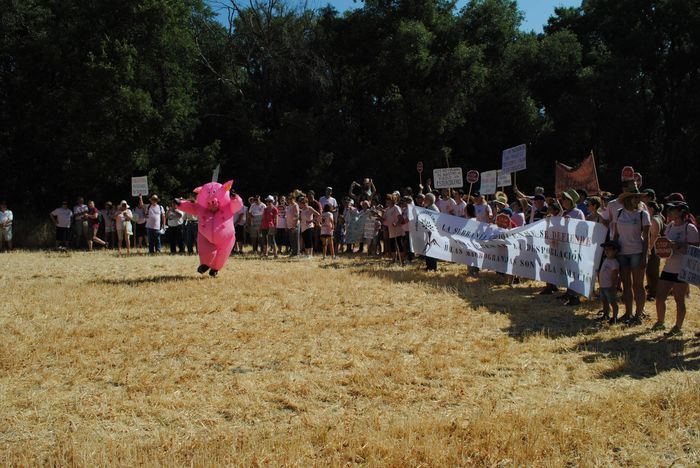 La Serranía de Cuenca se moviliza contra la ganadería industrial