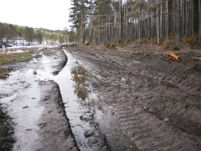 Cuenca en Marcha propone “cambios profundos” tras la reapertura de la causa por delitos ambientales en la Serranía