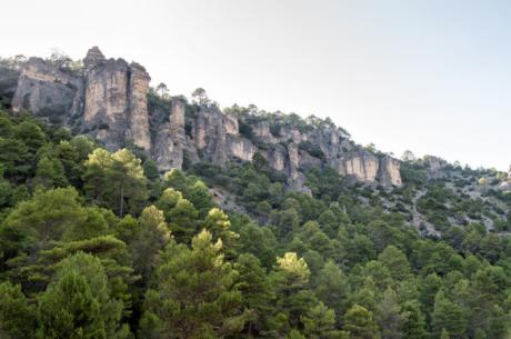 Proyecto pionero de gestión forestal en El Recuenco y El Pozuelo