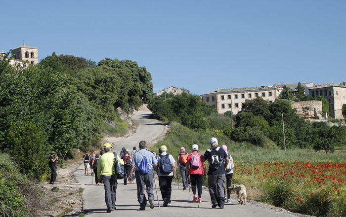 Albendea acogió la X edición de la Ruta de la Lana