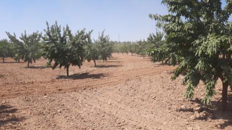 Arranca en Castilla-La Mancha el programa CULTIVA con parada en El Herrumbla