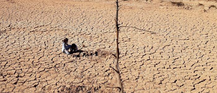 La UCLM participa en un estudio internacional que evalúa la restauración de zonas áridas en todo el mundo