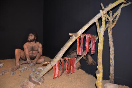 El prehistoriador Germán Delibes abre mañana el ciclo de conferencias ‘La caza: un desafío en evolución’ del IREC