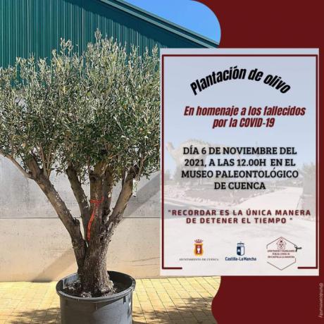Homenaje a las víctimas del COVID-19 en Cuenca el próximo sábado