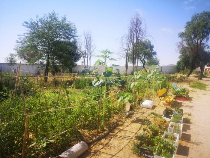 Los huertos urbanos de Tarancón inician nueva temporada en septiembre y abren inscripciones