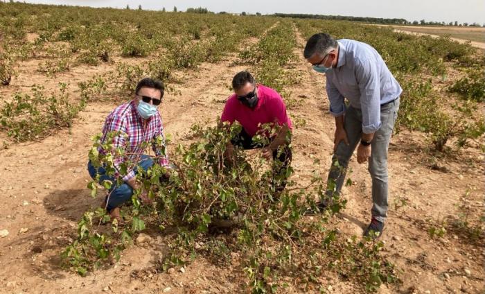 La Junta reafirma su compromiso con el sector agrícola tras las consecuencias que ha ocasionado la DANA a su paso por la provincia