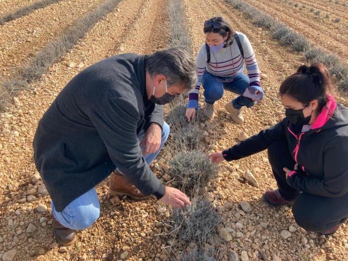 Más de 610 jóvenes se han incorporado a la agricultura en la provincia de Cuenca