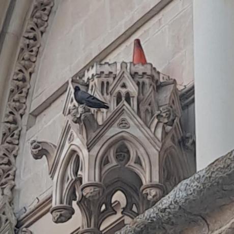 Retiran un cono de tráfico de la fachada de la Catedral