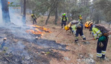 Declarado un incendio forestal en Cañamares