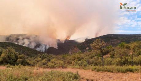 Se declara un incendio en Montalbanejo