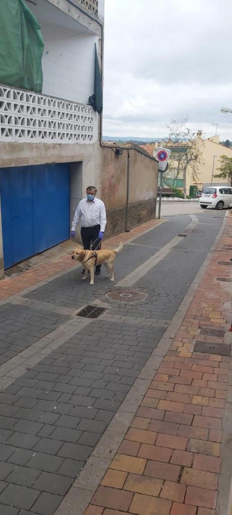 Más de 4 perros guía permiten a las personas ciegas de Cuenca seguir siendo autónomas durante el confinamiento