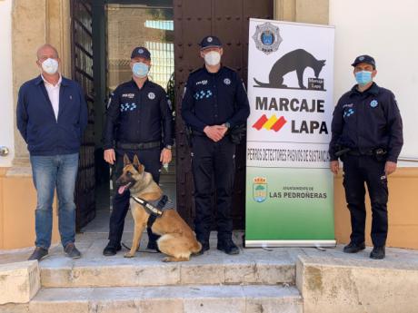 Presentado en Las Pedroñeras, ‘Blade’, el nuevo integrante de la policía local para la prevención y detección de drogas