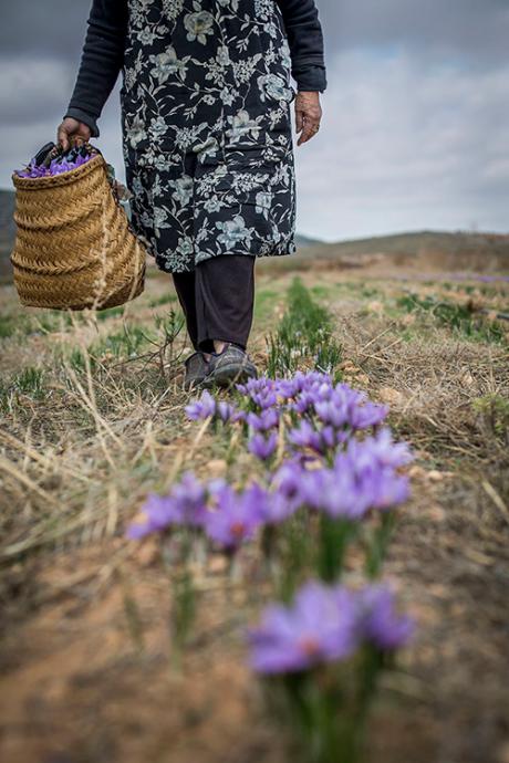 Luchar contra el despoblamiento con la fotografía. Foto Rural 19