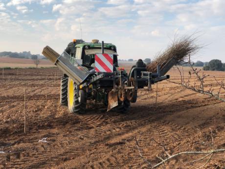 La Asociación Profesional de Ingenieros Agrónomos de Cuenca ha participado en el proceso de incorporación a la actividad agraria de 150 futuros agricultores y ganaderos