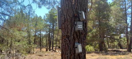 Colocación de sensores en la parcela de experimentación de Cuenca del Grupo Operativo Resinlab