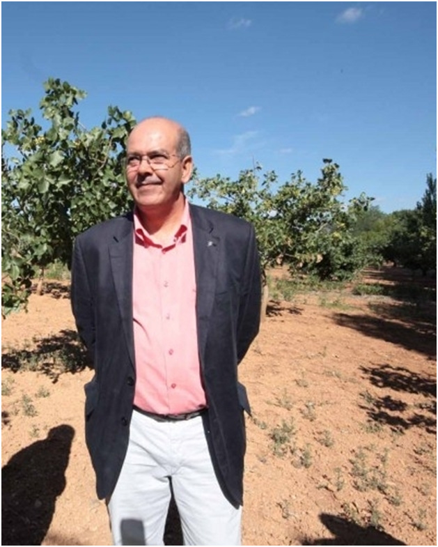 Profesionales analizarán en FENAVIN la importancia de sector vitivinícola a la hora de mantener a la población dentro del territorio