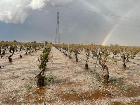 ASAJA pide que se activen todos los mecanismos de ayuda y apoyo para paliar los destrozos de las tormentas