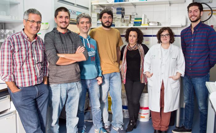 El Hospital Nacional de Parapléjicos y Universidad de Valladolid desarrollarán tecnología basada en biomateriales para la lesión medular