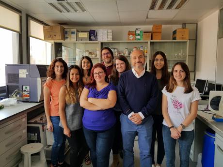 Investigadores de la UCLM y del CHUA demuestran cómo la combinación de dos fármacos mejora el tratamiento del cáncer de ovario