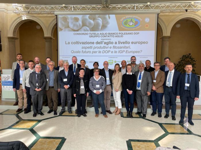Productores y representantes de ajo de Europa analizan en Italia la próxima campaña y la situación de los mercados