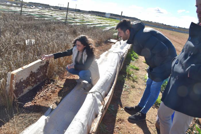 Diputación impulsa el proyecto 'Donde Nacen los Sabores' para promover la calidad de productos de la provincia