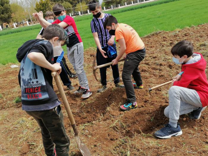 La reforestación como valor para todos