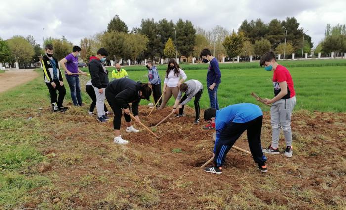 La reforestación como valor para todos