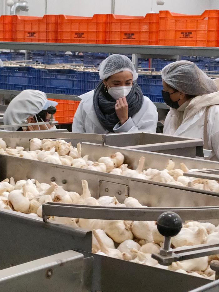 Los chef de Euro-Toques conocen el Ajo Morado y sus procesos, desde el campo a la cocina